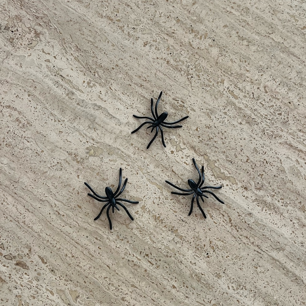 Spirit Black Spiders